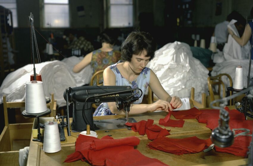  43% de mujeres participa en la economía de San Luis Potosí: INEGI – Líder Empresarial