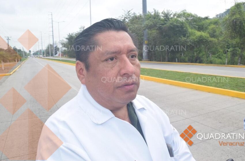  Derivados de la pesca, sin restricción: Jurisdicción Sanitaria 3 – Quadratin Veracruz
