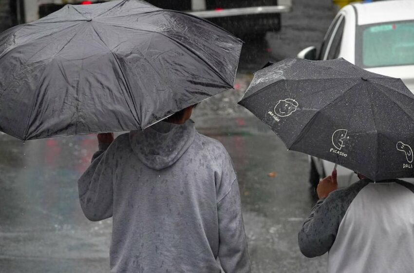 Frente frío 42 en México: ¿Cuándo llega y dónde habrá lluvias en plena primavera?