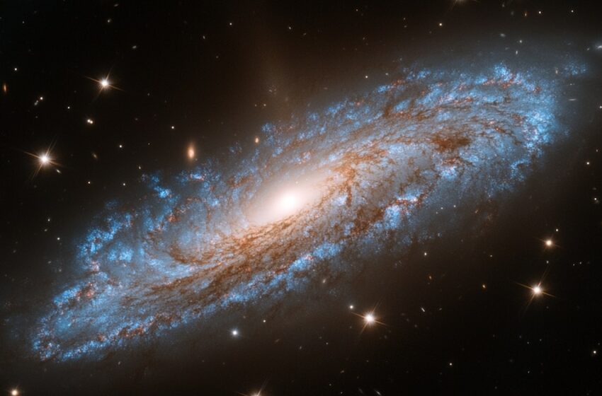  Científicos argentinos proponen un nuevo modelo teórico para el centro de la Vía Láctea