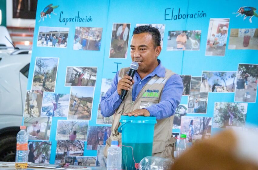  Refuerza Sagadegro acciones contra gusano barrenador en La Montaña – Quadratín Guerrero