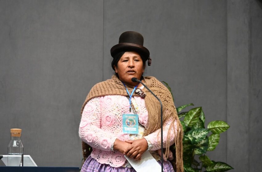  "Nos están envenenando": el grito aimara por el impacto de la minería que amenaza el lago Titicaca