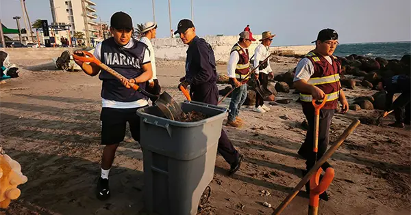  Atienden derrame en playas del Golfo – Pulso