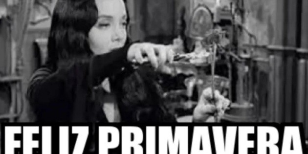  Llega la primavera y florecen los memes