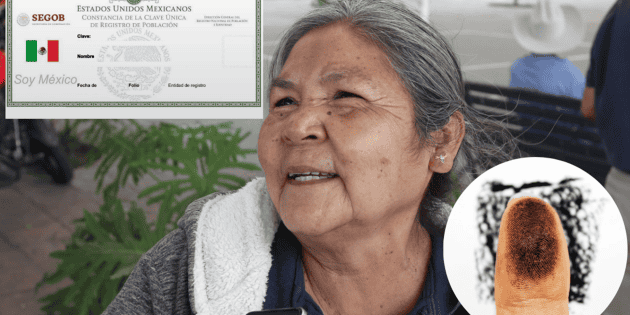  CURP biométrica: ¿Por qué es importante tramitarla para los adultos mayores?