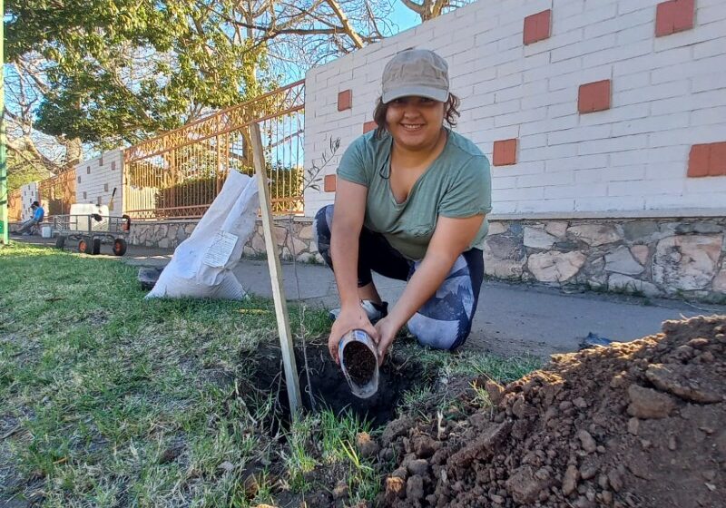  Colectivos y estudiantes realizan reforestación en aceras de la Universidad de Sonora