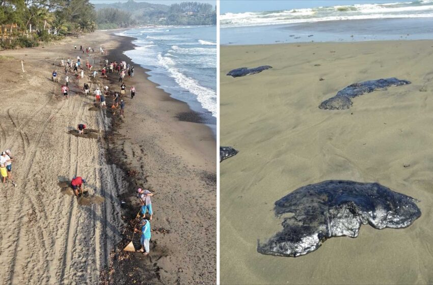  Derrame de Petróleo en el Golfo de México: ¿Qué Daños Puede Causar a la Salud y … – N+