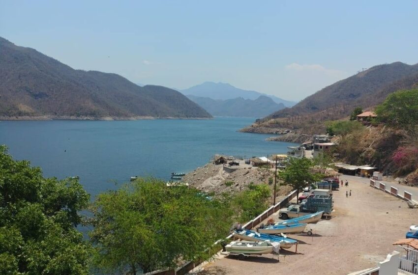  Prohibido pescar en Aguamilpa y El Cajón; comenzó la veda – NTV+