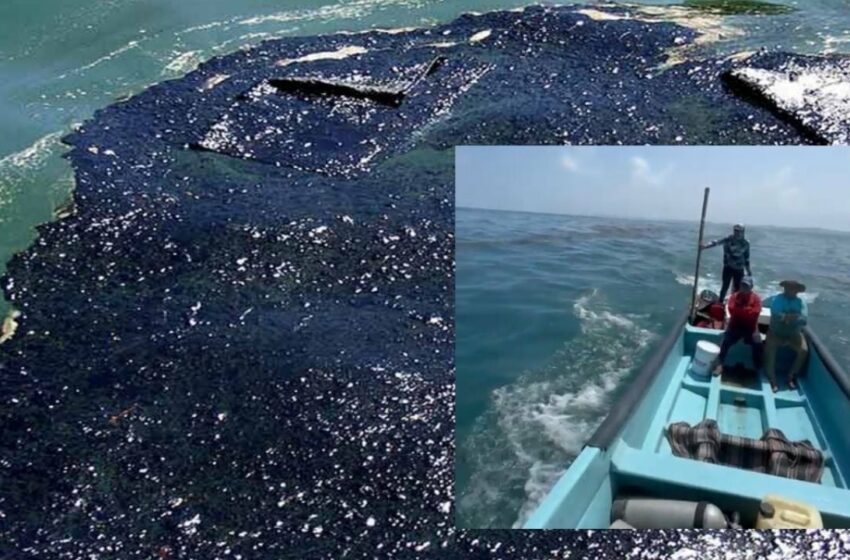  Llegan manchas de hidrocarburo a las costas de Alvarado en zona pesquera – La Silla Rota