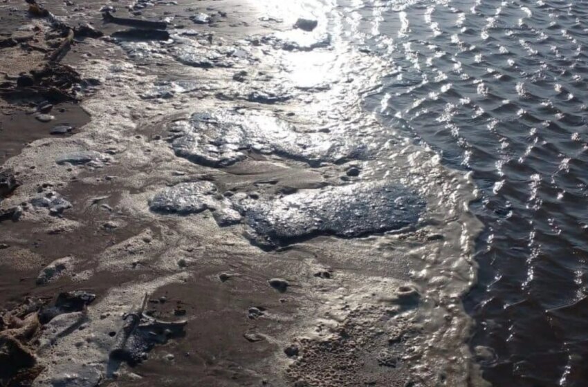  Línea de tiempo del derrame de petróleo en Veracruz y Tabasco: así evolucionó el desastre