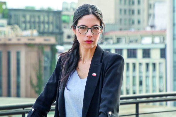  Plan de Descontaminación del Lago Villarrica: el Ministerio del Medio Ambiente reingresa …