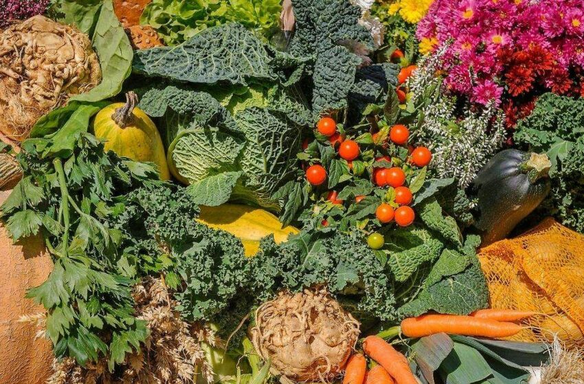  Las Guías Alimentarias 2025-2030, explican todo sobre la nutrición saludable y sostenible