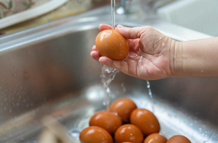  ¿Lavas los huevos antes de guardarlos? Experta advierte que podrías contaminar los alimentos
