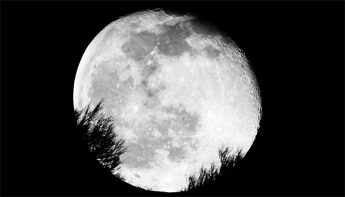  Artemis II: el prólogo de una alianza entre humanos y robots en la Luna – Radiocable.com