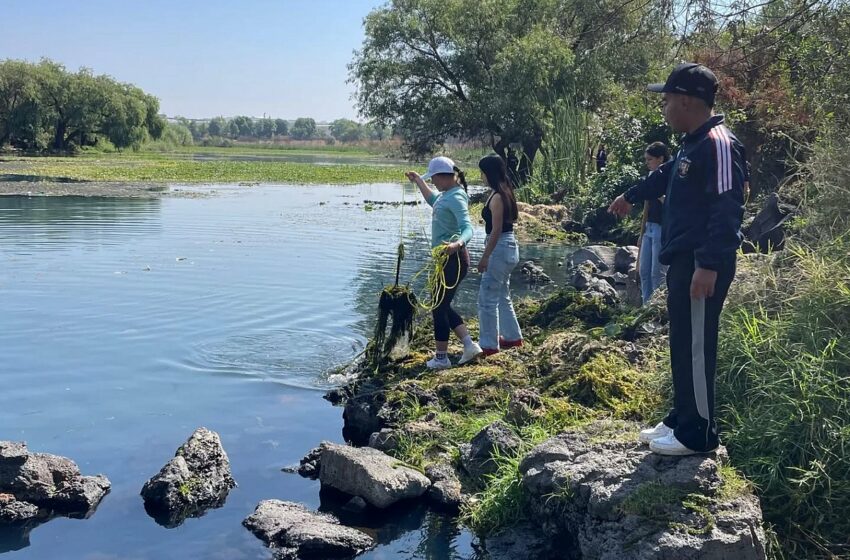  Impulsan cuidado de La Mintzita con actividades ambientales – MiMorelia.com