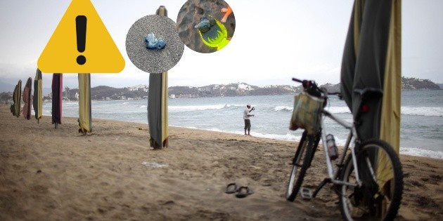  Emiten alerta en playas de Colima por la presencia de la Fragata Portuguesa