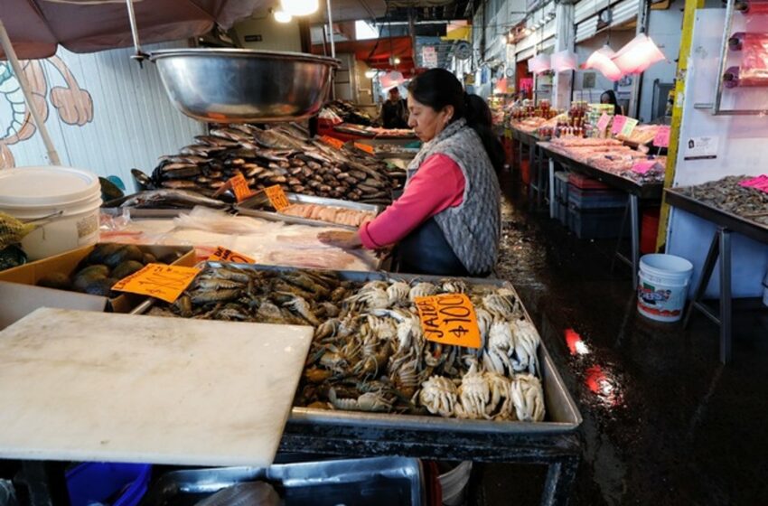  Por Cuaresma, refuerzan vigilancia sanitaria por consumo de mariscos en Nuevo Laredo