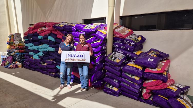  ¡Meta superada! Recaudan 4 toneladas de alimento para albergues – Puente Libre