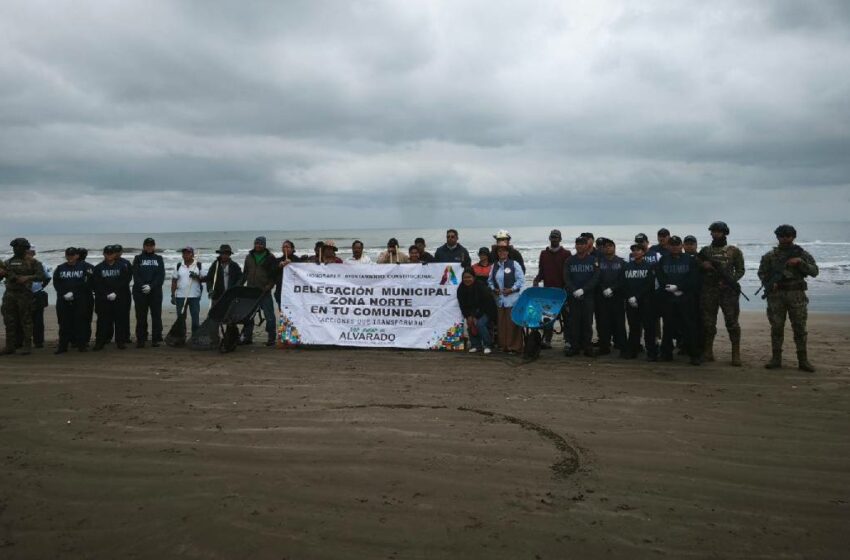  Piden a pescadores a suspender captura especies en Veracruz- Grupo Milenio