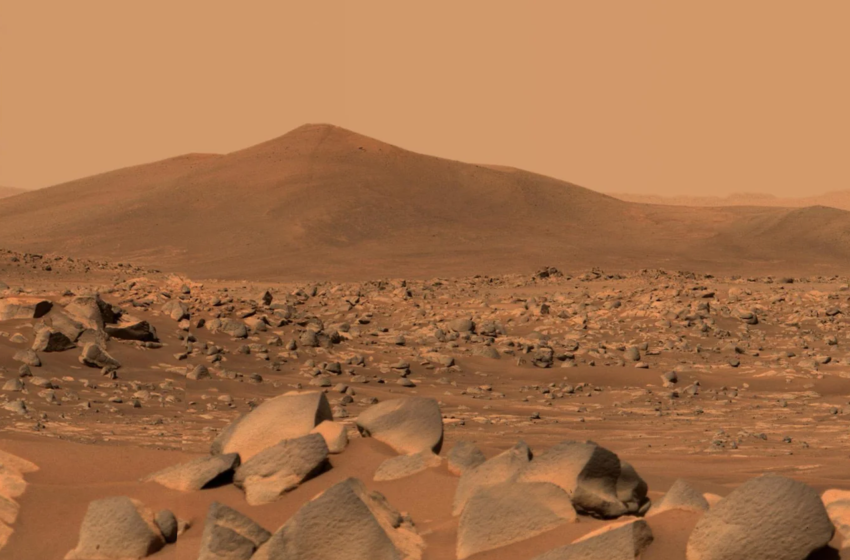  Los tardígrados ayudan a comprobar si el suelo marciano bloquea la vida terrestre