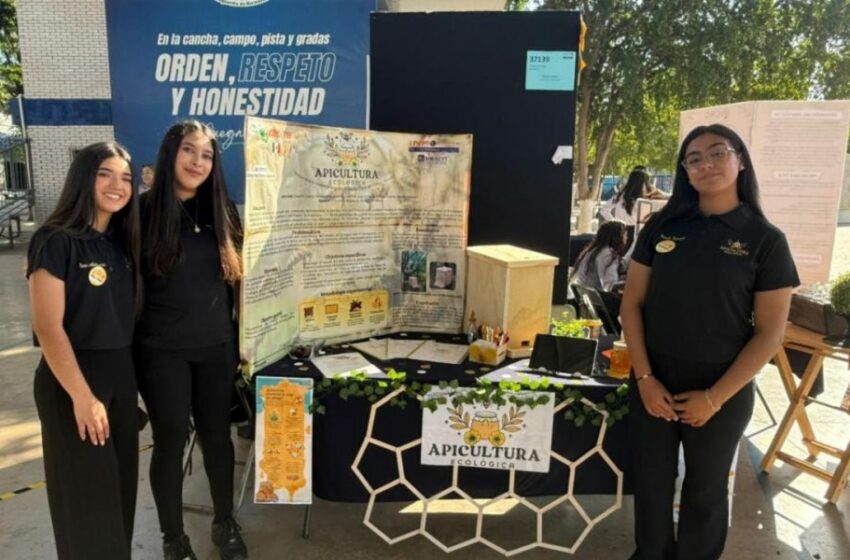  Estudiantes de Cecyte obtienen plata y bronce en Infomatrix Sonora 2026 – Telemax