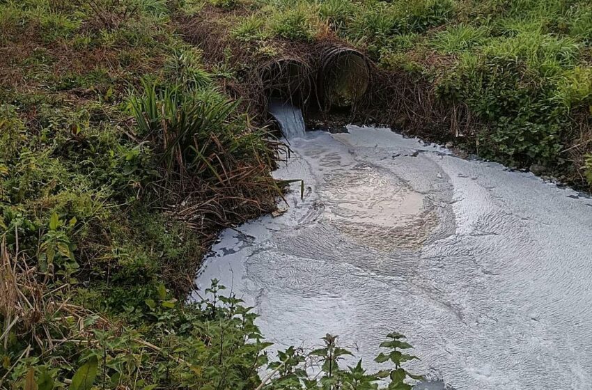  Medio Ambiente dice que no hubo daños ambientales a la ría tras el incendio de Los Tánagos
