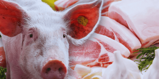  ¿Es saludable la carne de cerdo? La verdad del consumo en México
