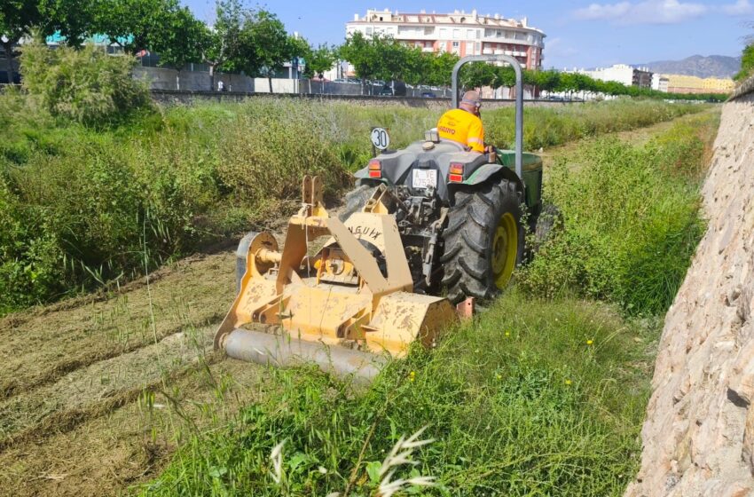  Medio Ambiente inicia los trabajos de desbroce controlado en el cauce urbano del río Vinalopó