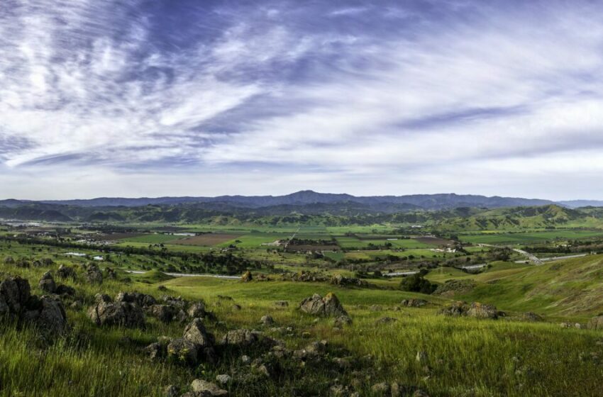  Hutchins-Knowles: Tres maneras de proteger el medio ambiente este Día de la Tierra