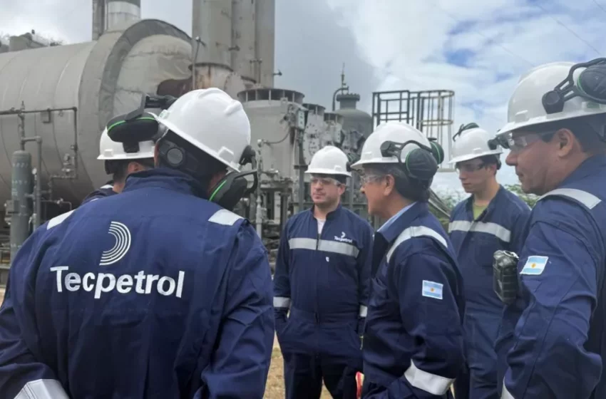  La Secretaría de Minería realizó un recorrido técnico por la Cuenca Noroeste – Gobierno de Salta