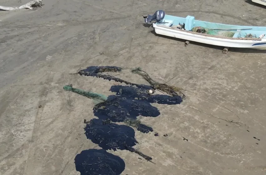  Este es el costo de las redes de pesca dañadas por el petroleo en Veracruz – XEU