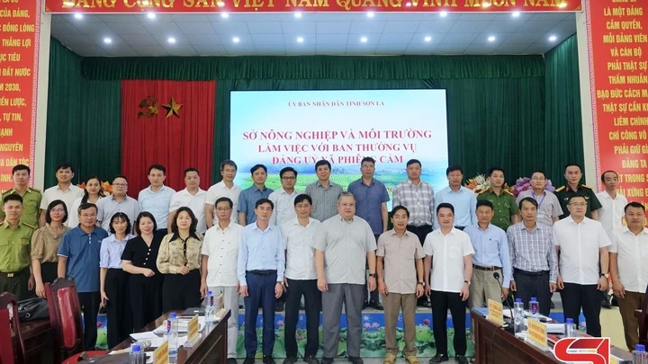  El Departamento de Agricultura y Medio Ambiente está trabajando en la comuna de Phiêng Cằm.