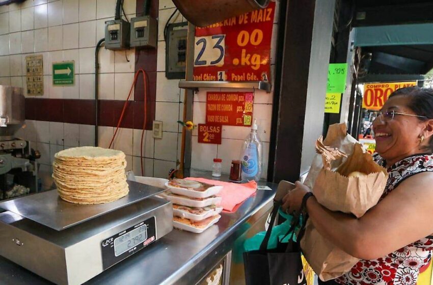 Precio de la tortilla se mantiene estable pese a caída en costos al productor