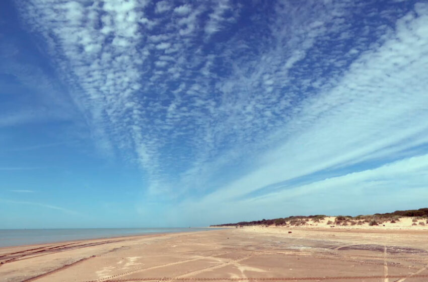  Espacio protegido | El respeto por el medio ambiente en las romerías – Canal Sur