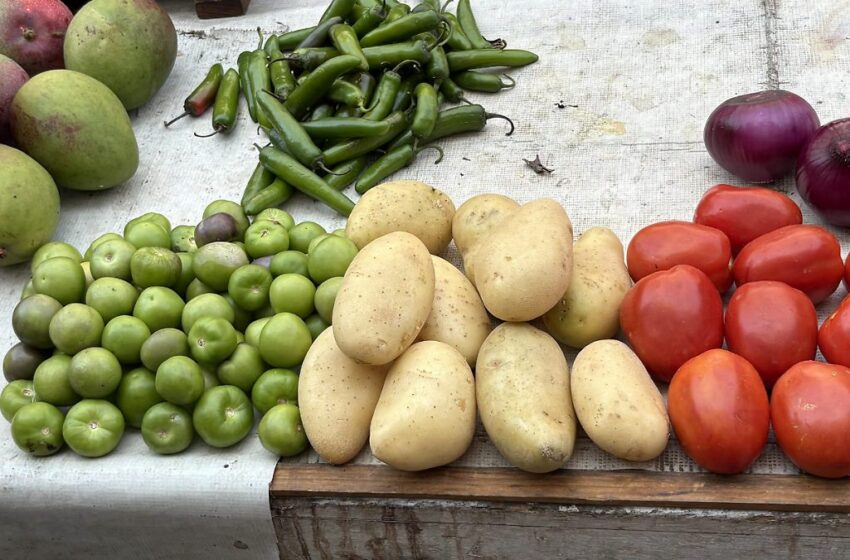  Jitomate y chile serrano, los alimentos más caros de la canasta básica – El Sol de Acapulco