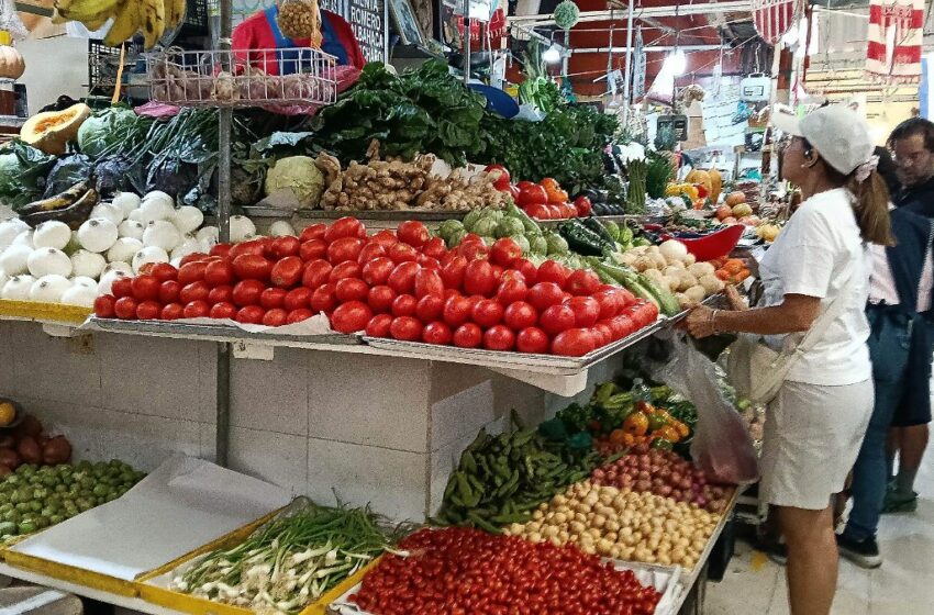  Cómo limpiar el colon naturalmente con estos seis alimentos saludables – El Heraldo de Chiapas