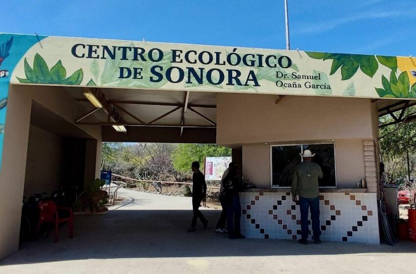  Centro Ecológico de Sonora: Niños entran gratis por su día – El Sol de Hermosillo
