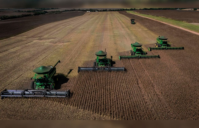  Precios mundiales de alimentos alcanzan su nivel más alto en seis meses por crisis energética