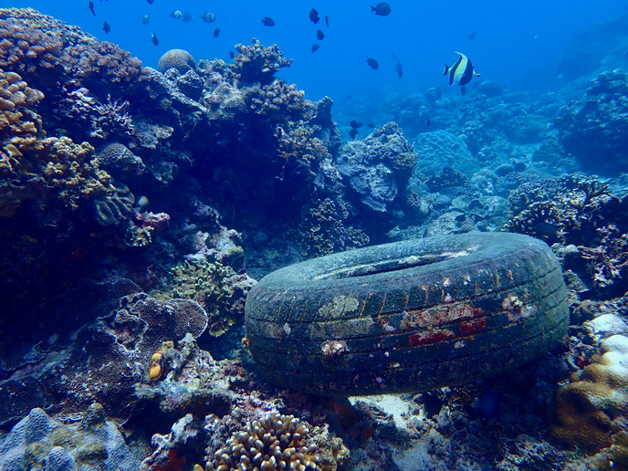  Limpiar nuestros mares, de arriba abajo | Noticias | CORDIS | Comisión Europea