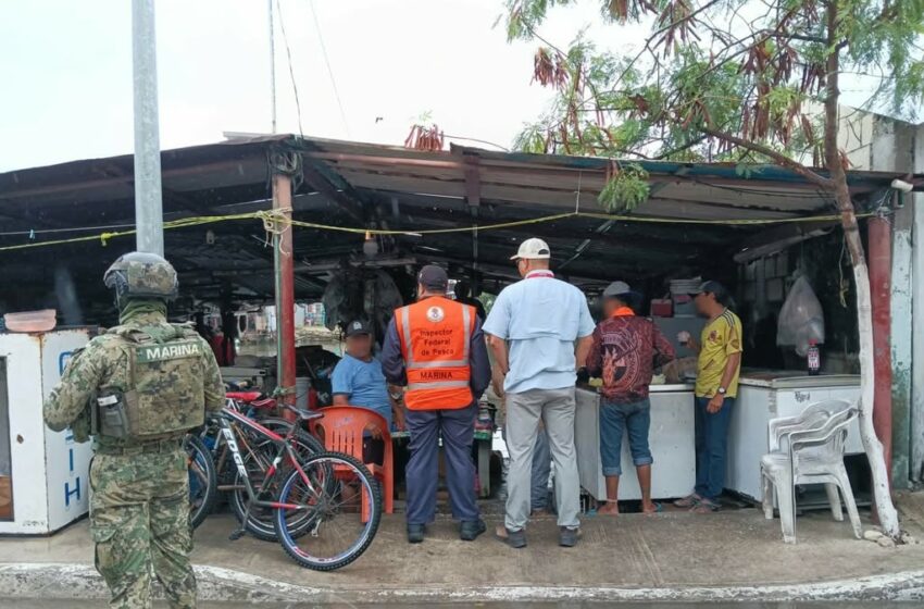  Golpe a la pesca ilegal: Marina y Conapesca aseguran más de una tonelada de producto.