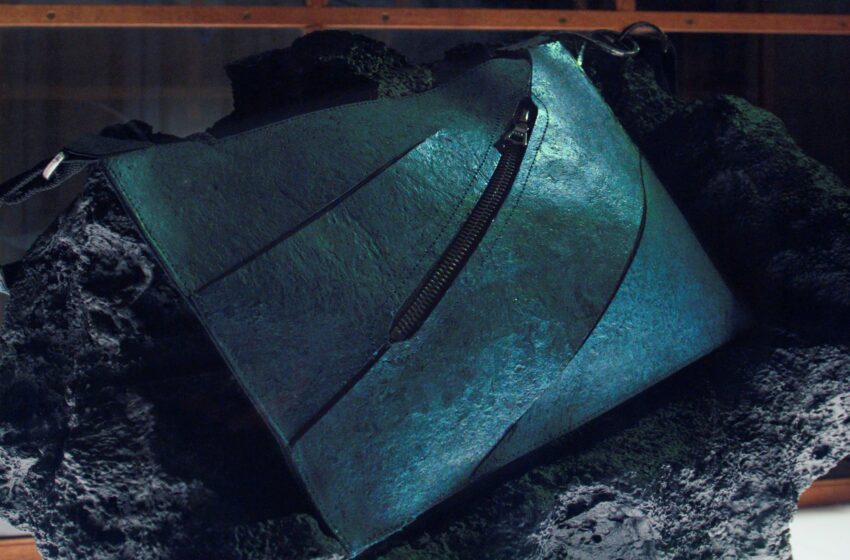  Crearon un bolso de lujo con proteína reconstruida del dinosaurio T-Rex – Clarin.com