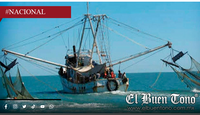  EU acusa a México de pesca y tala ilegal que afectan al T-MEC – El Buen Tono