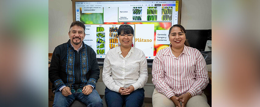  Obtiene UV patente por biocompuestos que conservan alimentos – Universidad Veracruzana