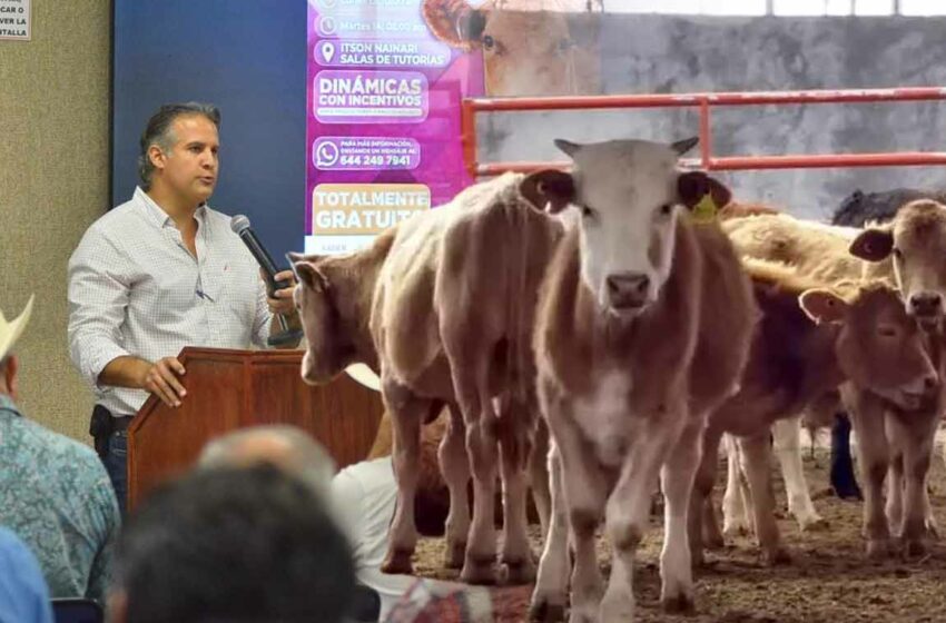  Impulsan productividad y rentabilidad ganadera en el sur de Sonora con primer Congreso …