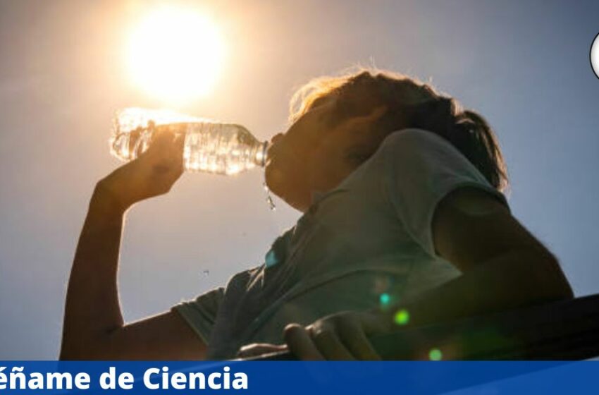  Entra nuevo frente frío, pero onda de calor sigue azotando fuerte – Enséñame de Ciencia –