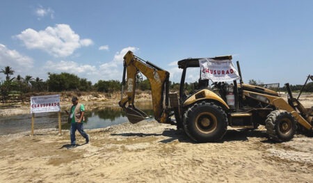 Oaxaca, uno de los estados con más delitos contra el medio ambiente