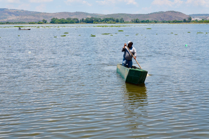  Compesca rehabilitará presa de Malpaís y sembrará 50 mil crías – La Voz de Michoacán
