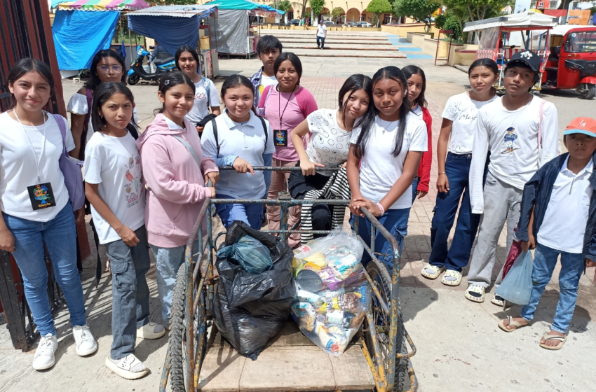  Jóvenes recolectan alimentos en Peto – Diario de Yucatán