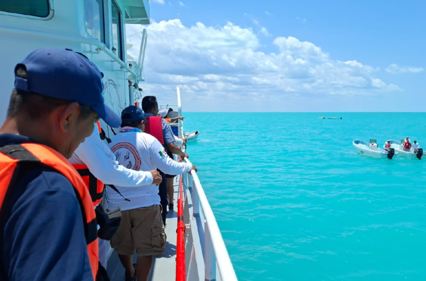  Vigilancia contra la pesca furtiva en Río Lagartos – Diario de Yucatán