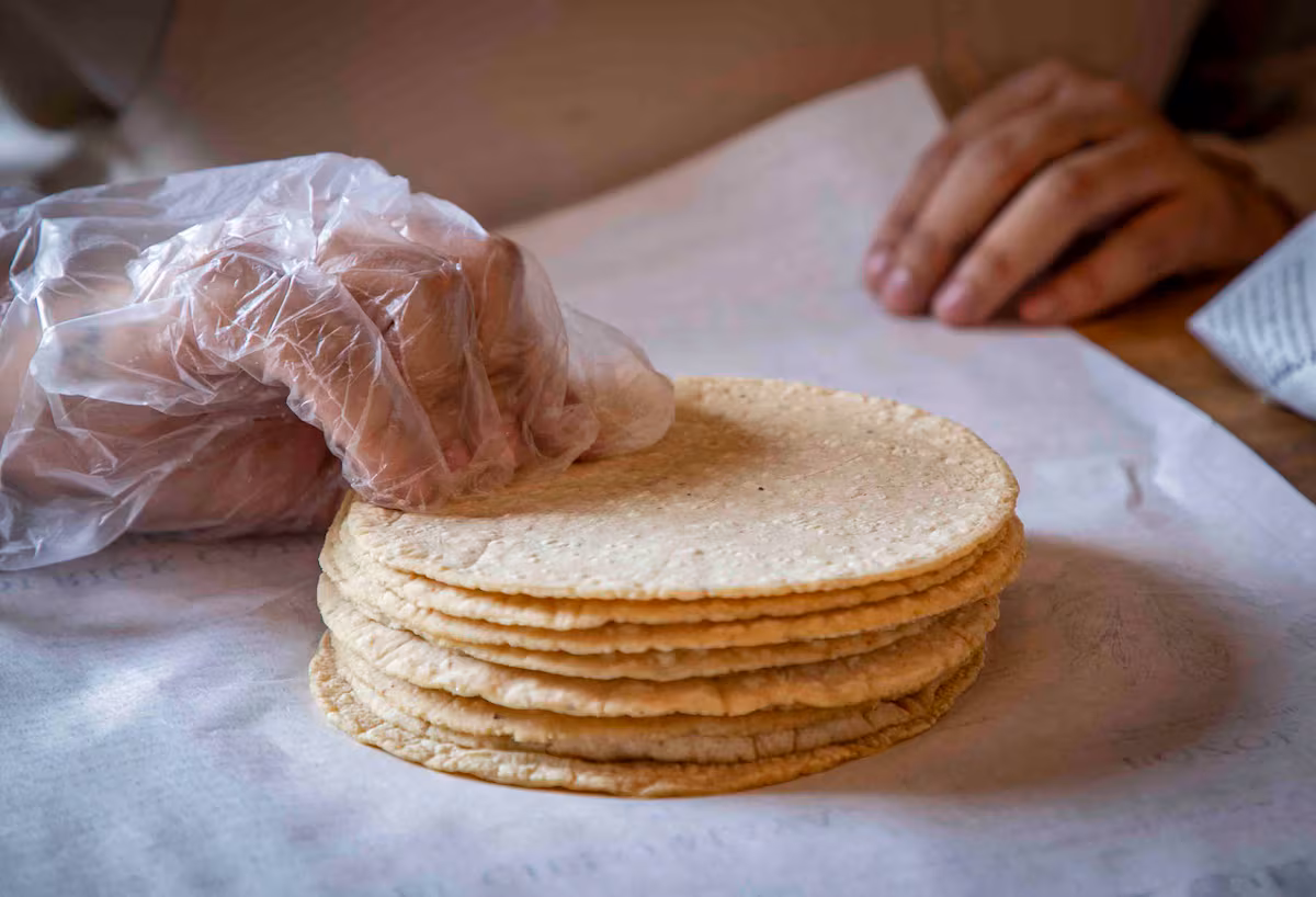  ¿Subirá el precio de la tortilla? Sheinbaum dice que no, pero la industria la contradice por la …